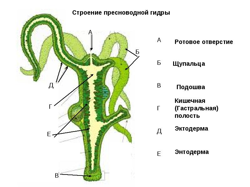 Kra31.cc Вход на сайт главная страница
